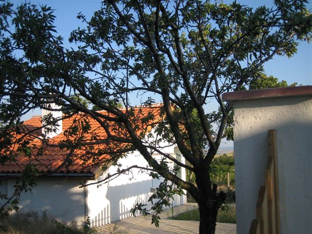 Villa Alexander. Property for sale in Villa Zone, Izvorishte. Sea Views and fully rennovated.