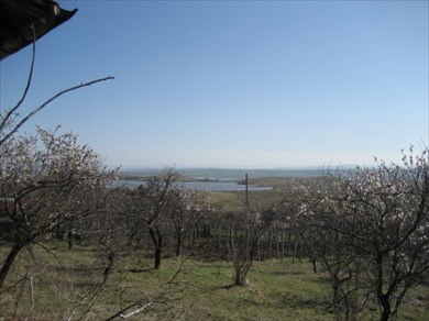Villa Magnificent stunning views. Property for sale in Villa Zone, Izvorishte.