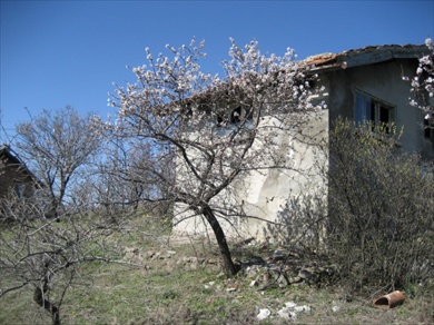 Villa Magnificent. Property for sale in Villa Zone, Izvorishte.