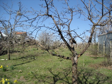 Villa Panorama Property for sale in Villa Zone, Izvorishte.