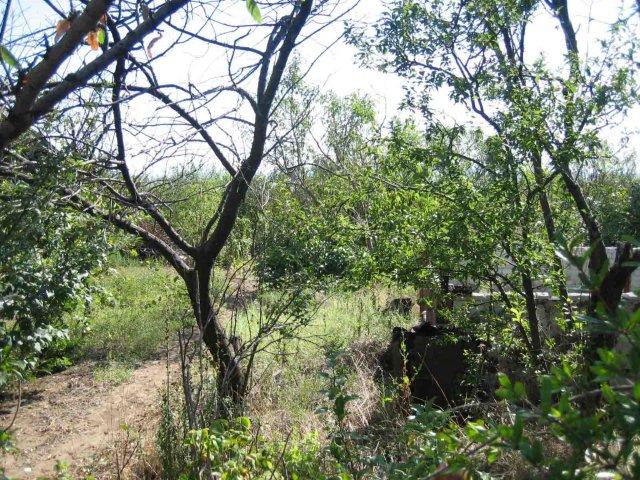 White Villa. Property for sale in Villa Zone, Izvorishte.