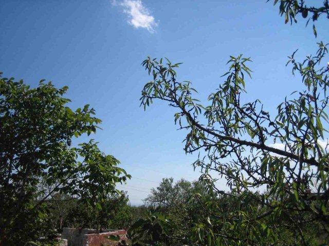 White Villa. Property for sale in Villa Zone, Izvorishte.